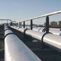 Carbagas is a leading global specialty gas company